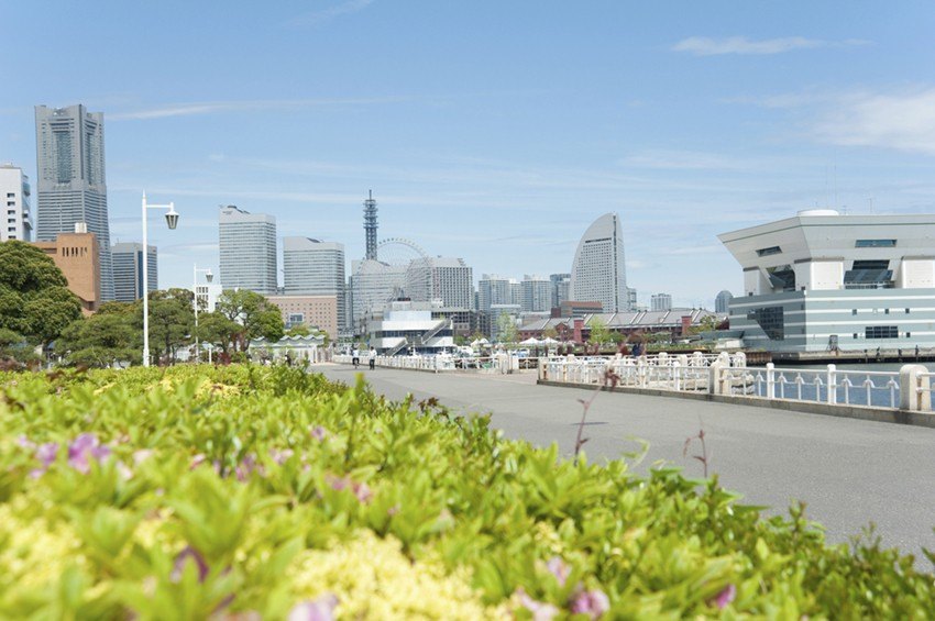 địa điểm du lịch yokohama-công viên yamashita