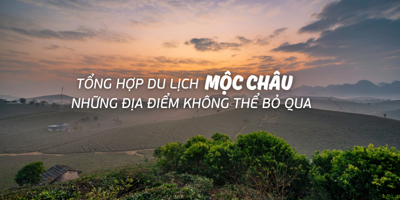 Tổng hợp du lịch Mộc Châu: Những địa điểm không thể bỏ qua