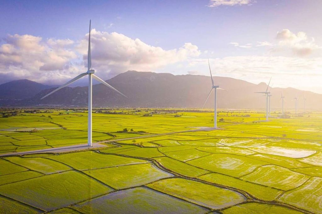 Ninh thuận 3 ngày 2 đêm-cánh đồng Điện Gió