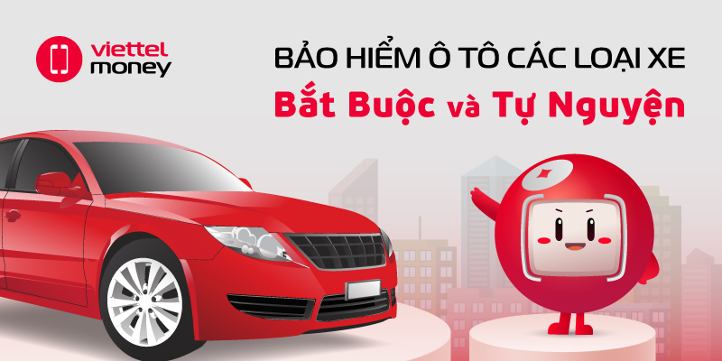 Bảo hiểm ô tô các loại xe bạn cần tham khảo trước khi mua xe