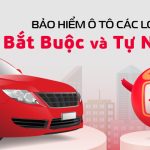 bảo hiểm ô tô các loại xe