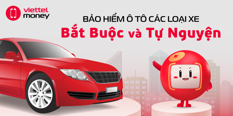 Bảo hiểm ô tô các loại xe bạn cần tham khảo trước khi mua xe