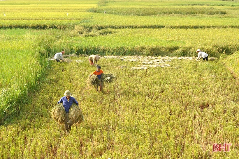 bội thu cao bằng