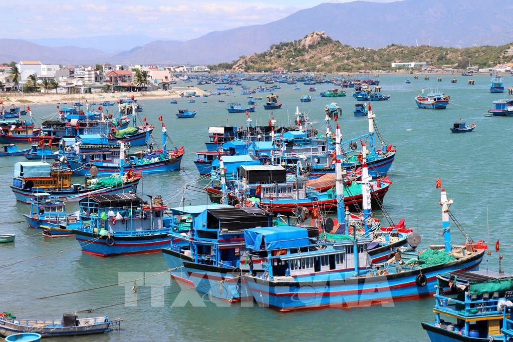 Trước khi bắt đầu chuyến đi, bạn phải tìm hiểu rõ về Ninh Thuận để hành trình của mình được thuận lợi. Ninh Thuận thuộc vùng Duyên hải Nam Trung Bộ, tiếp giáp với 3 tỉnh lớn là Bình Thuận, Khánh Hoà và Lâm Đồng. Chính vì thế, nhiều du khách hiện nay thường kết hợp tour du lịch Ninh Thuận Bình Thuận, Ninh Thuận Khánh Hoà hay Lâm Đồng Ninh Thuận,...