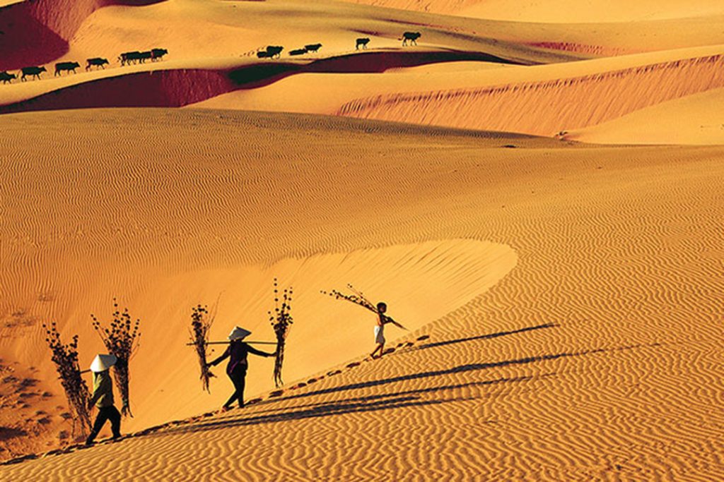 Đồi cát Phan Thiết