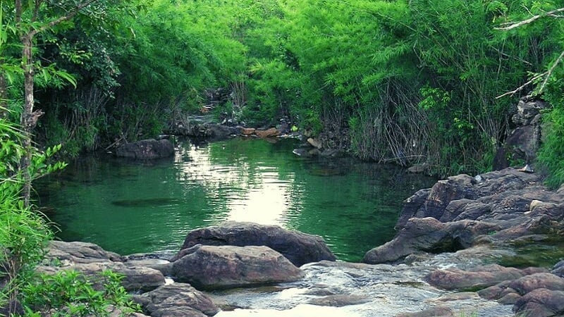 Suối Trúc