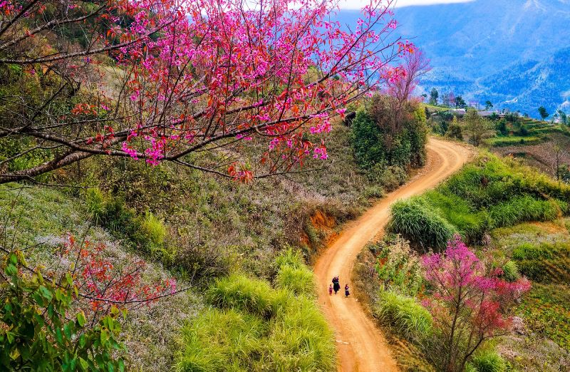 Mùa xuân tại Tây Bắc