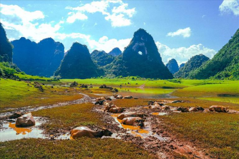 du lịch cao bằng 3 ngày 2 đêm-mùa hè