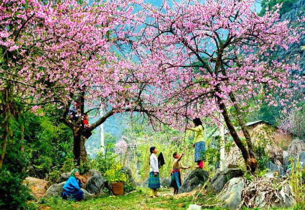 du lịch tây bắc tháng 3-Hà Giang