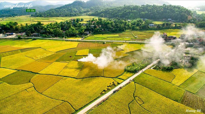 du lịch yên bái-cánh đồng Mường Lò