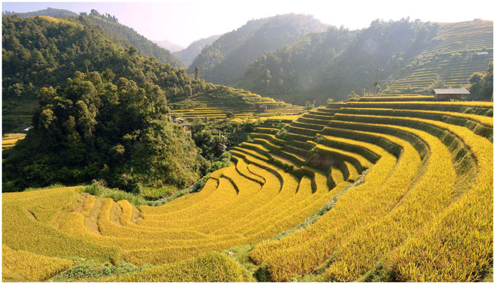 du lịch yên bái-Chế Cu Nha