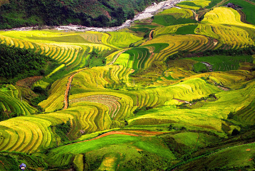 du lịch yên bái-Tú Lệ