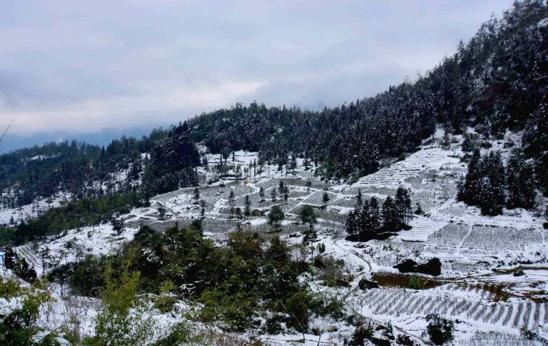 mùa đông tại Sapa