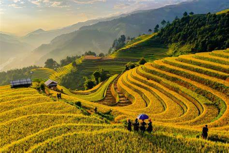 Mùa thu Tây Bắc