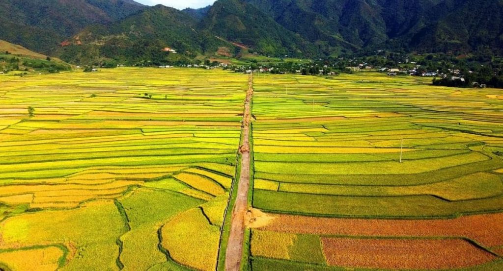 Tất tần tật về du lịch Yên Bái-cánh đồng