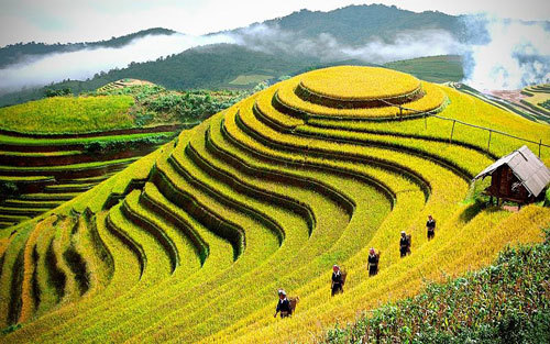 Tất tần tật về du lịch Yên Bái-ruộng bậc thang