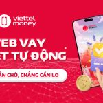 web vay duyệt tự động