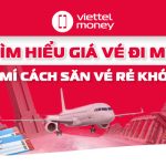 giá vé đi mỹ(1)