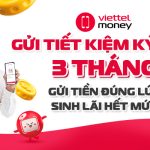 kỳ hạn 3 tháng (1)